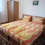 за гости петрови