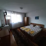 за гости петрови